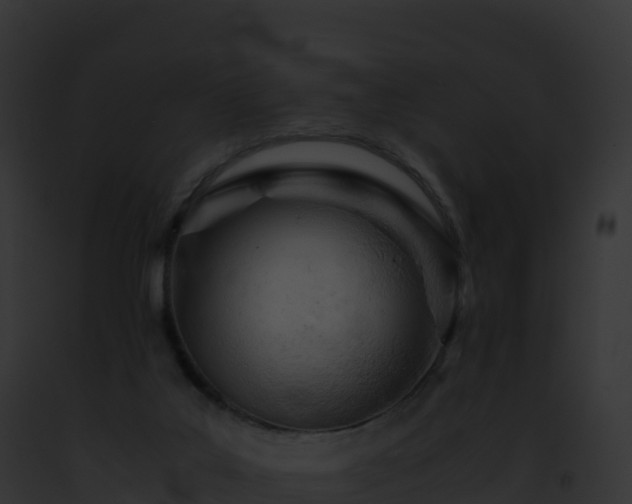 X0000093100019200710031508