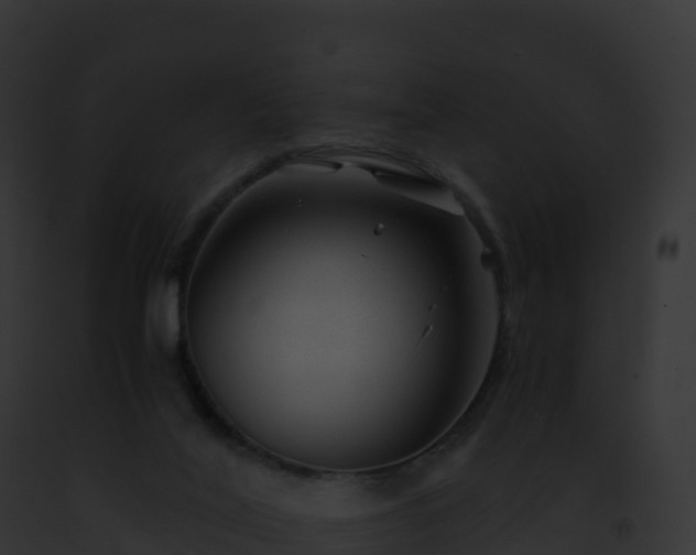 X0000093100020200710031508