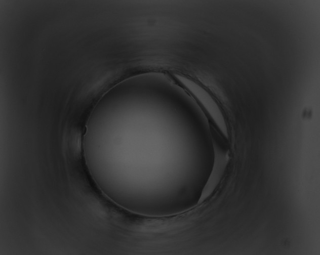 X0000093100021200710031508