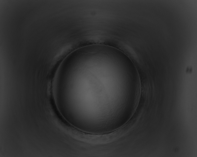 X0000093100023200710031508