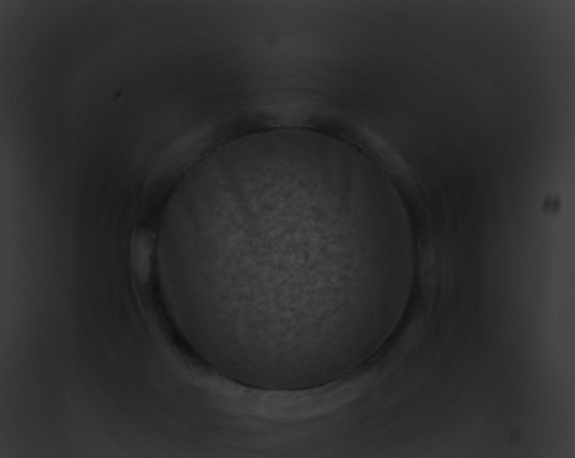 X0000093100026200710031508