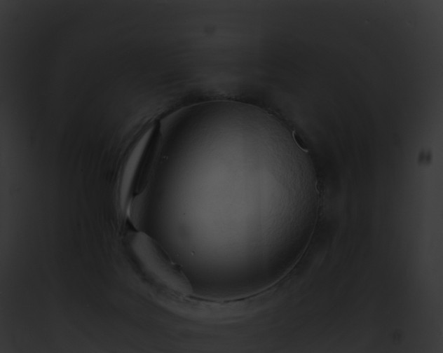 X0000093100027200710031508