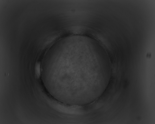 X0000093100028200710031508