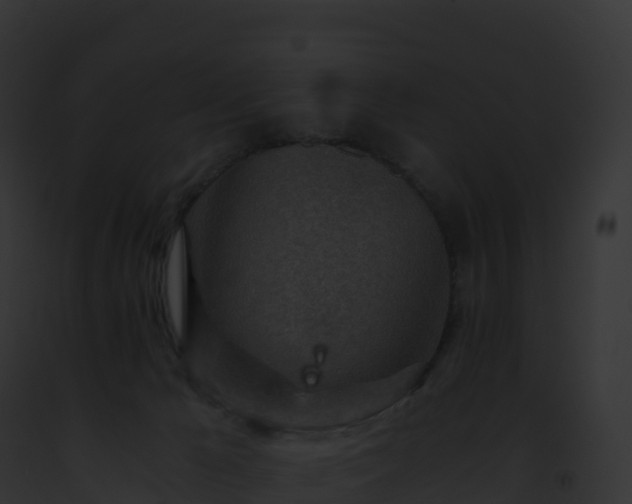 X0000093100029200710031508