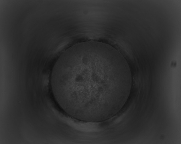 X0000093100032200710031508