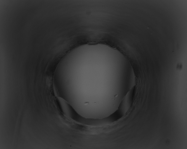 X0000093100033200710031508