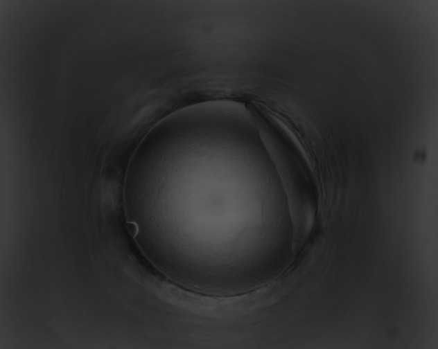 X0000093100035200710031508