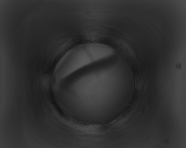 X0000093100036200710031508