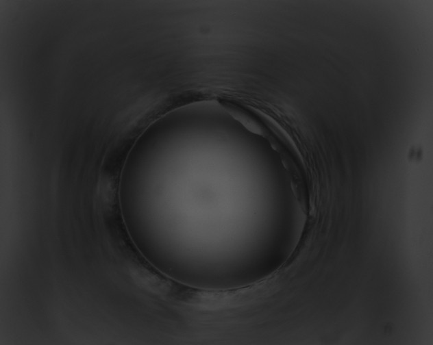 X0000093100037200710031508