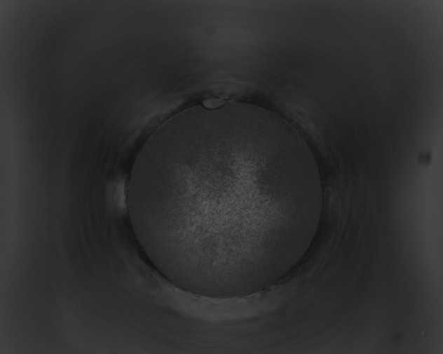 X0000093100042200710031508