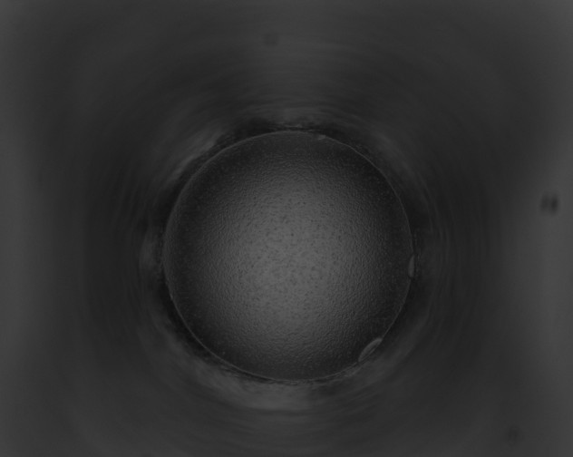 X0000093100044200710031507