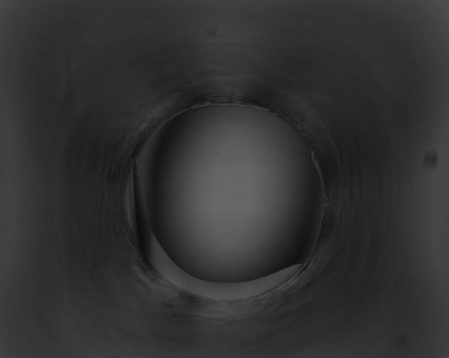 X0000093100045200710031507