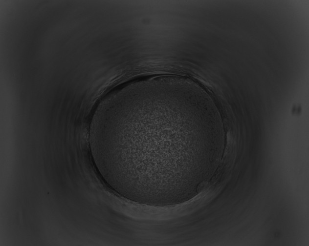 X0000093100048200710031507
