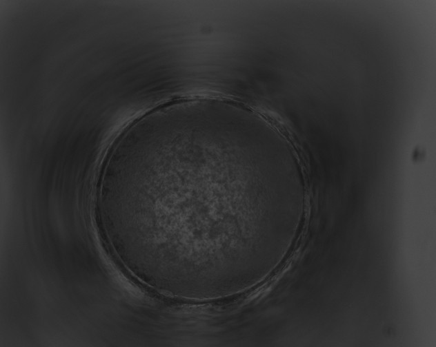 X0000093100049200710031507