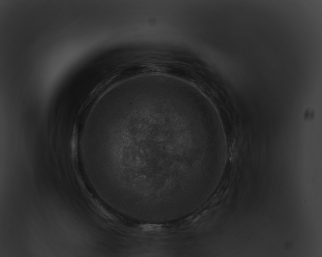 X0000093100052200710031507