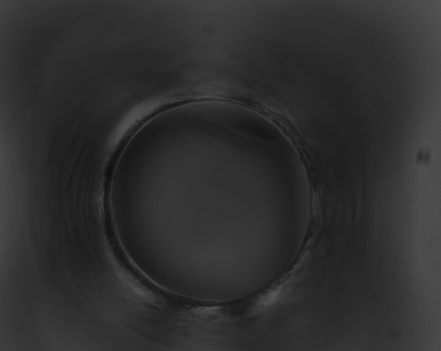 X0000093100054200710031507