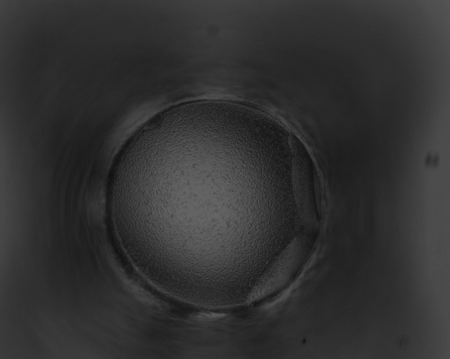 X0000093100055200710031507