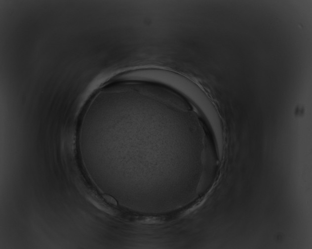 X0000093100056200710031507