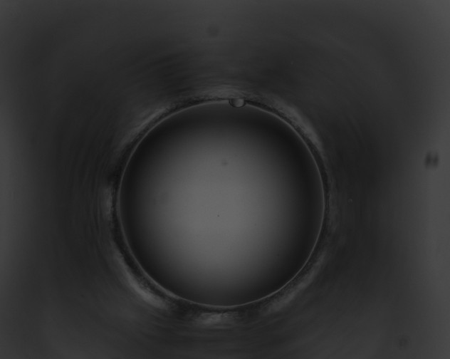 X0000093100057200710031507