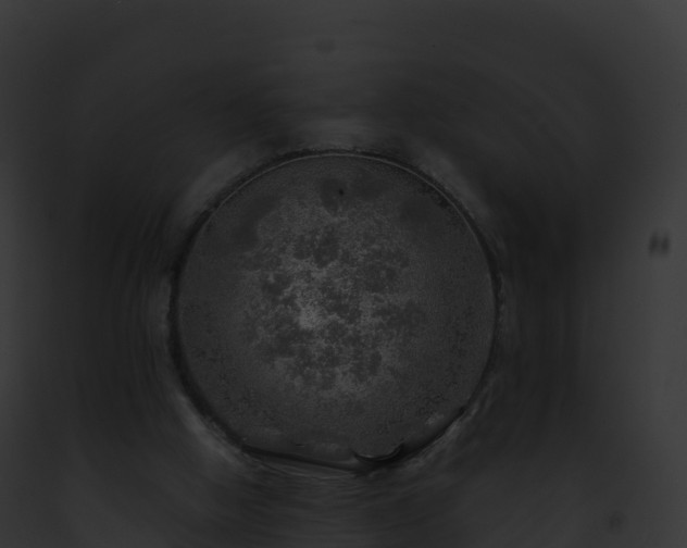 X0000093100058200710031507