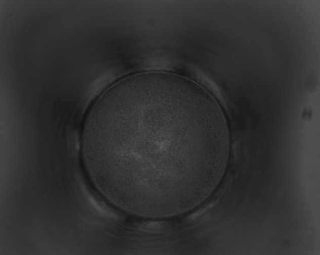 X0000093100059200710031507