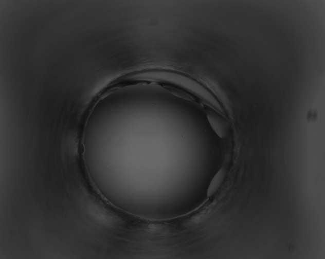 X0000093100060200710031507