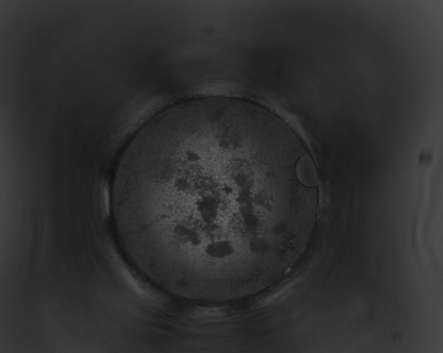 X0000093100061200710031507