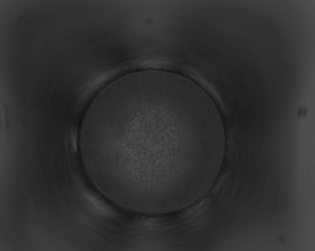 X0000093100062200710031507