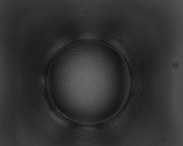 X0000093100063200710031507