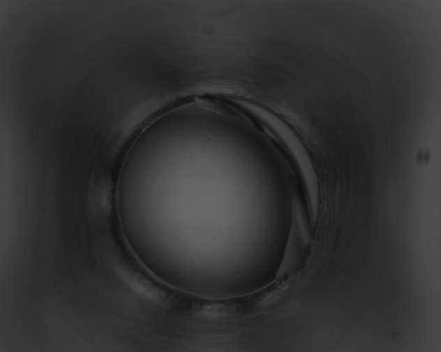X0000093100064200710031507