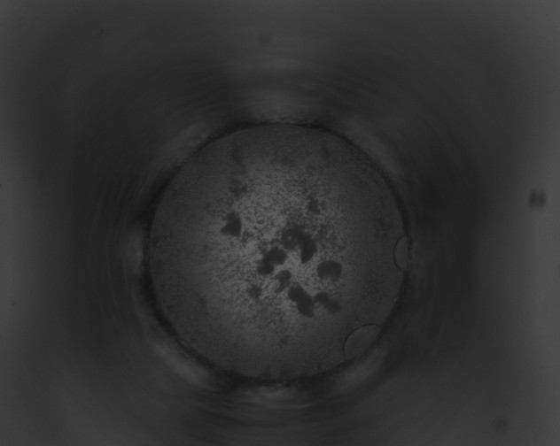 X0000093100065200710031507