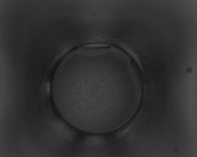 X0000093100067200710031507