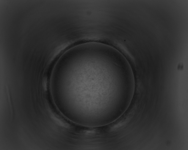 X0000093100068200710031507