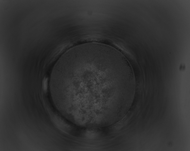 X0000093100070200710031507