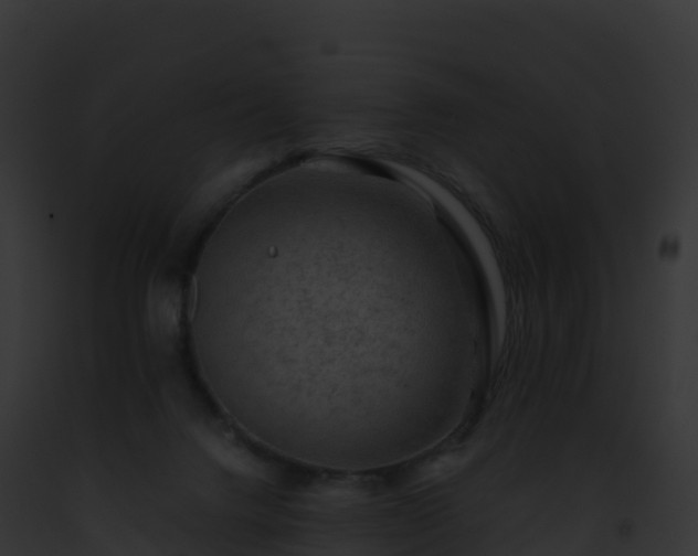 X0000093100072200710031507