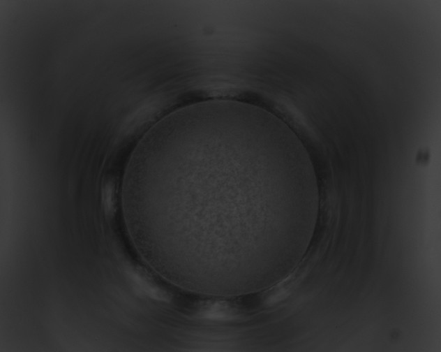 X0000093100074200710031507