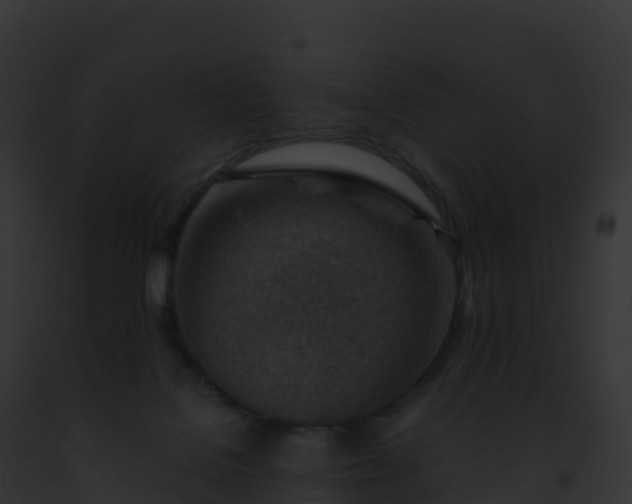 X0000093100076200710031507