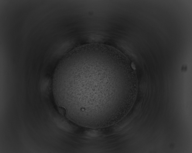X0000093100079200710031507