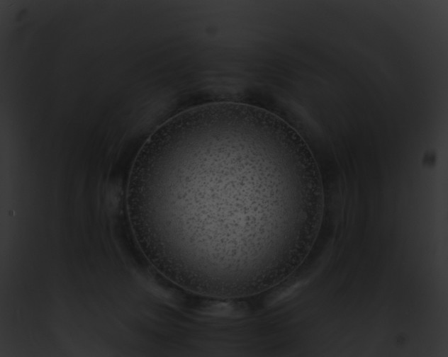 X0000093100083200710031507