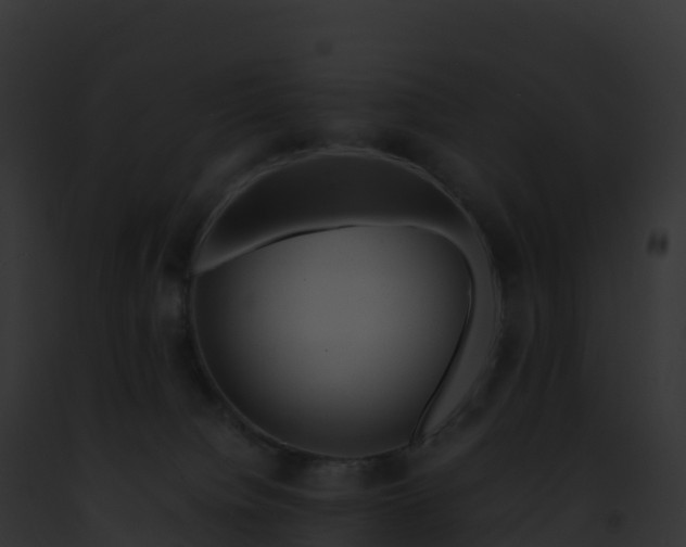 X0000093100084200710031507