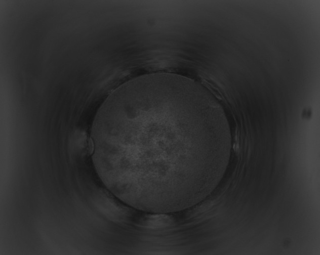 X0000093100087200710031507