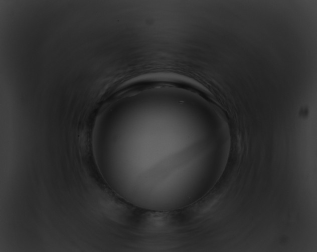 X0000093100088200710031507