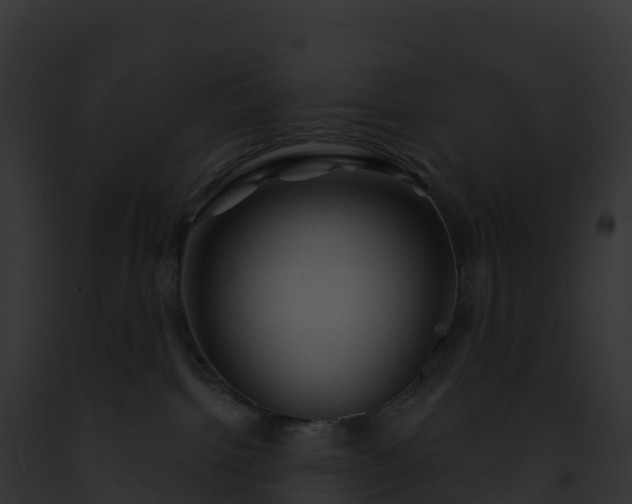 X0000093100092200710031507