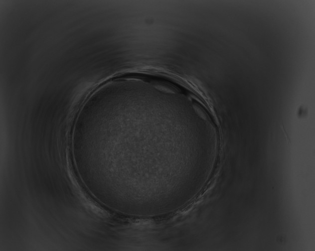 X0000093100097200710031507