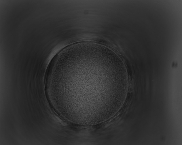X0000093100099200710031507
