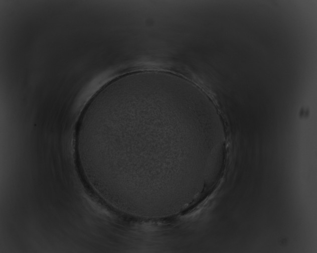 X0000093100103200710031507