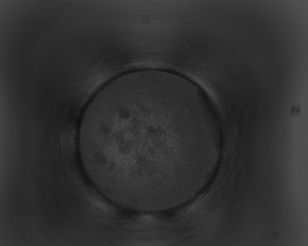X0000093100111200710031507