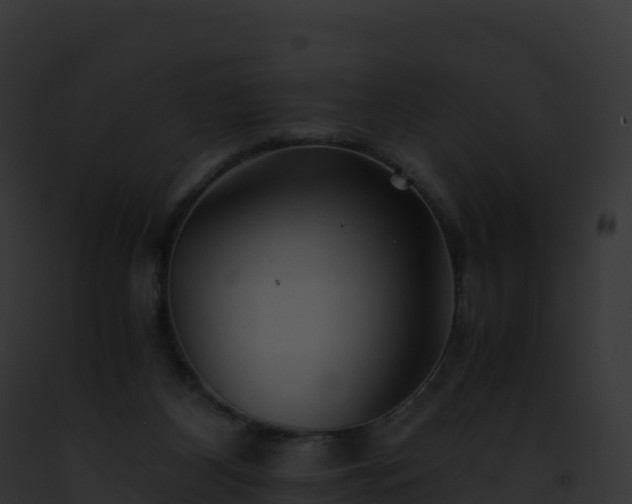 X0000093100116200710031507