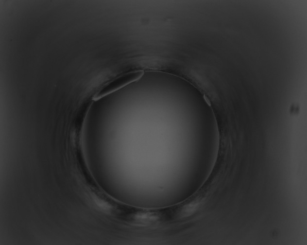 X0000093100117200710031507