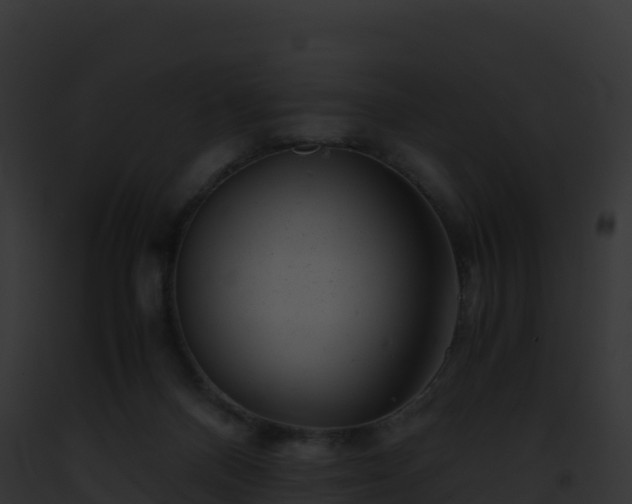 X0000093100120200710031507